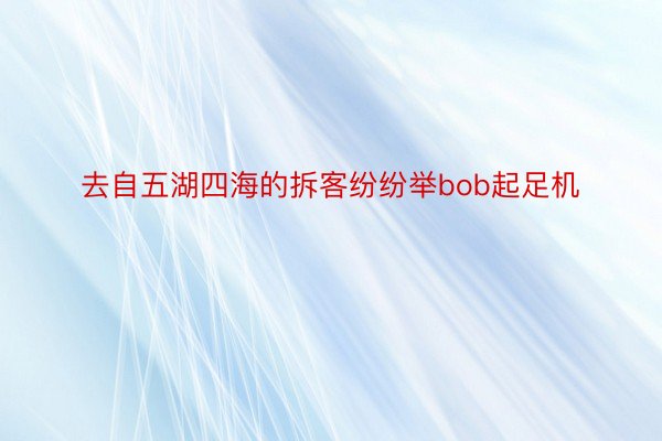 去自五湖四海的拆客纷纷举bob起足机