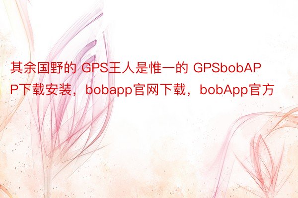 其余国野的 GPS王人是惟一的 GPSbobAPP下载安装，bobapp官网下载，bobApp官方