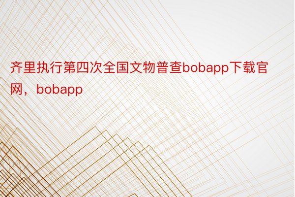 齐里执行第四次全国文物普查bobapp下载官网，bobapp