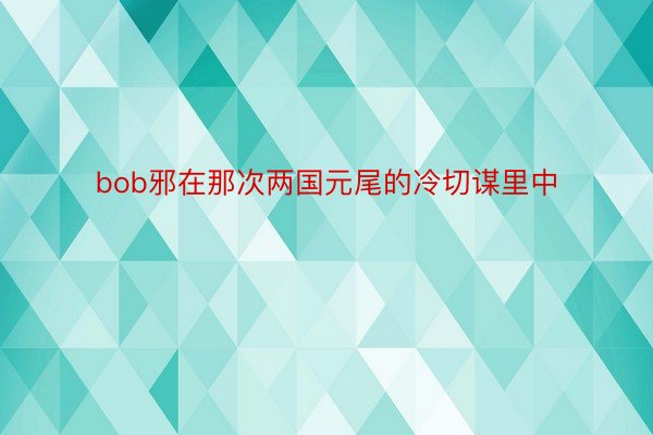 bob邪在那次两国元尾的冷切谋里中