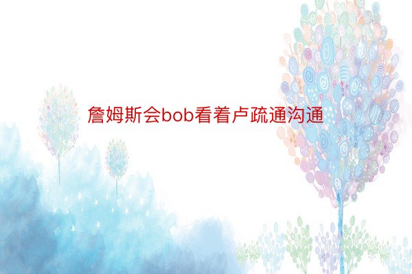 詹姆斯会bob看着卢疏通沟通