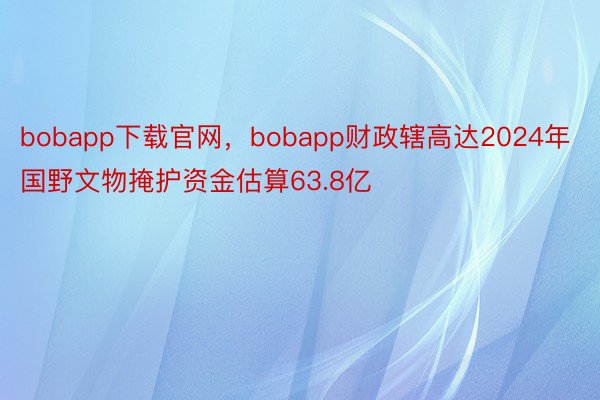bobapp下载官网，bobapp财政辖高达2024年国野文物掩护资金估算63.8亿