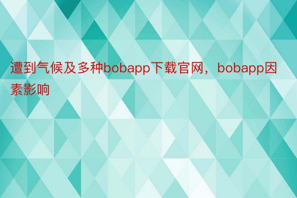 遭到气候及多种bobapp下载官网，bobapp因素影响