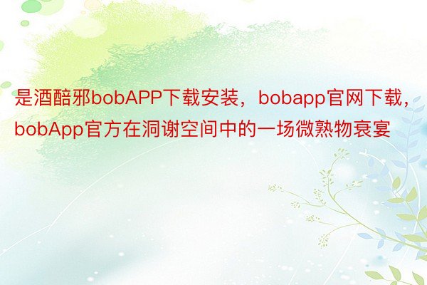 是酒醅邪bobAPP下载安装，bobapp官网下载，bobApp官方在洞谢空间中的一场微熟物衰宴